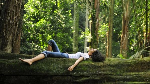 forest bathing 1747737087