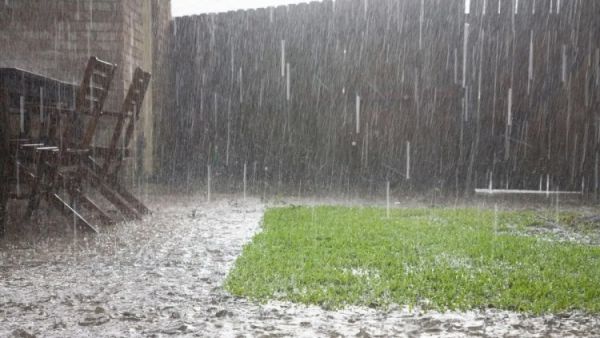 weather news 8 1748313049703