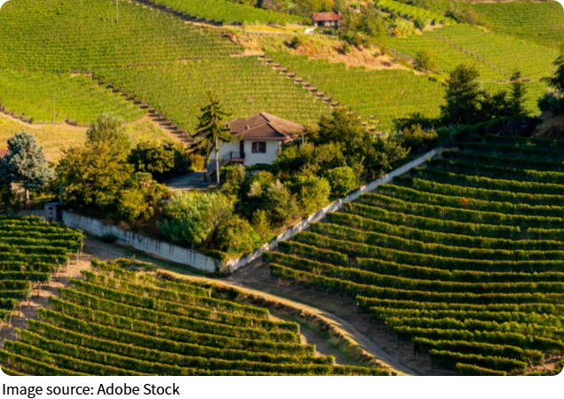 Pesona Lanskap Barolo