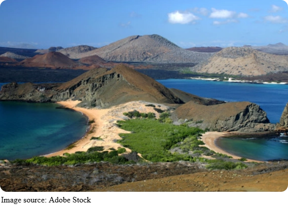 El Cajas: Wild and Untamed