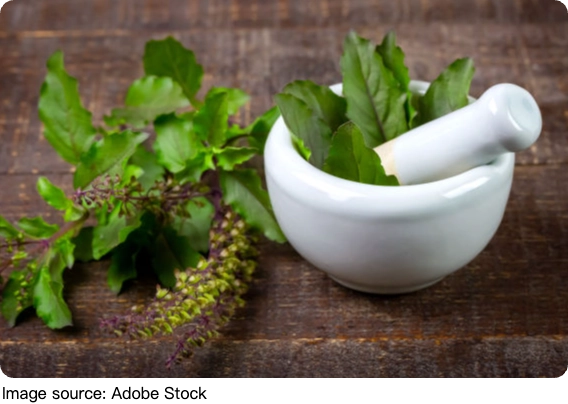 Basil Benefits