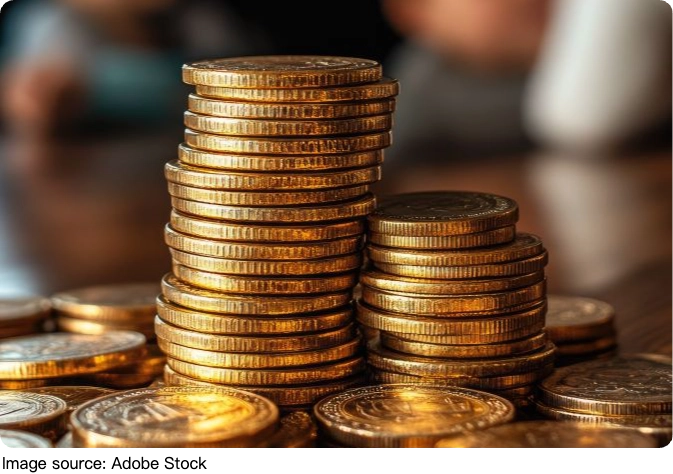 Mindful Wealth Blueprint