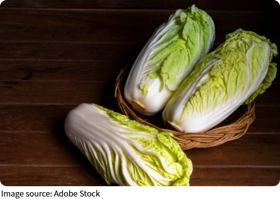 Cabbage vs Greens