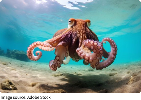 Память дикой природы