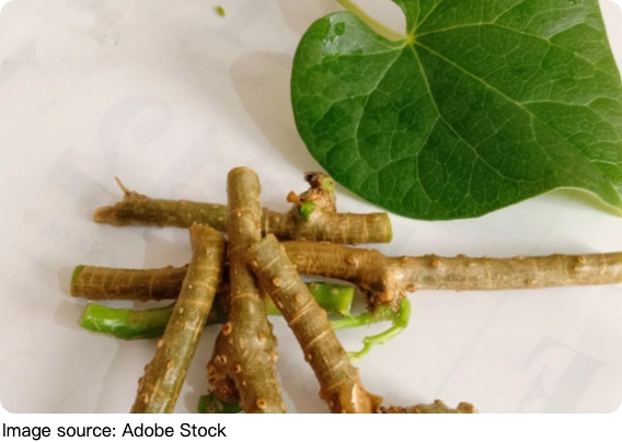 Nguy cơ thiếu máu mãn tính
