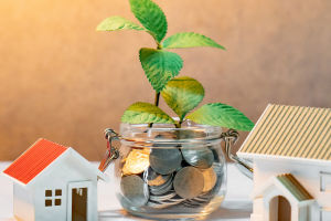 Start Investing Minim-Risk?
