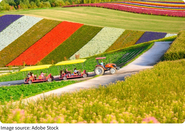 Encanto rural