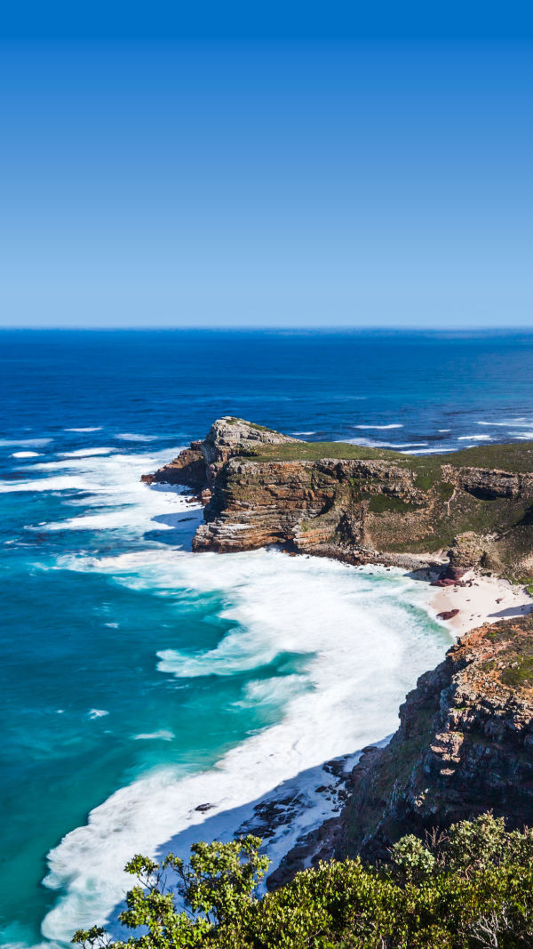 Discover Cape Beauty