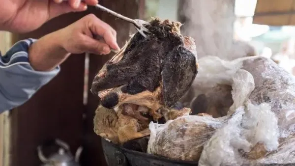 Cara membersihkan kepala kambing