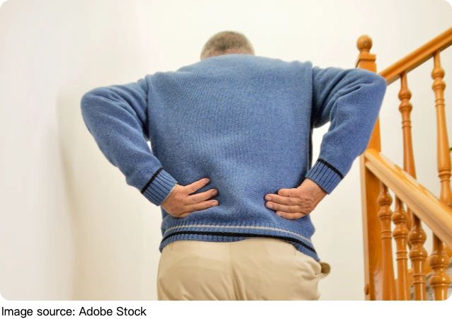 Causas del Dolor Lumbar