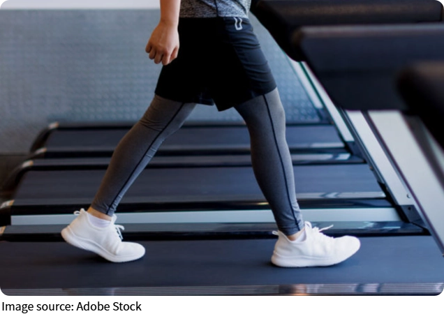Gym Beginner Guide