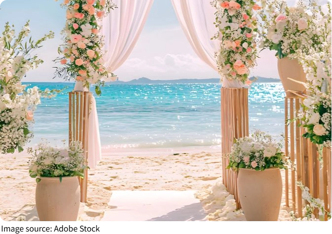 Свадьба без хаоса