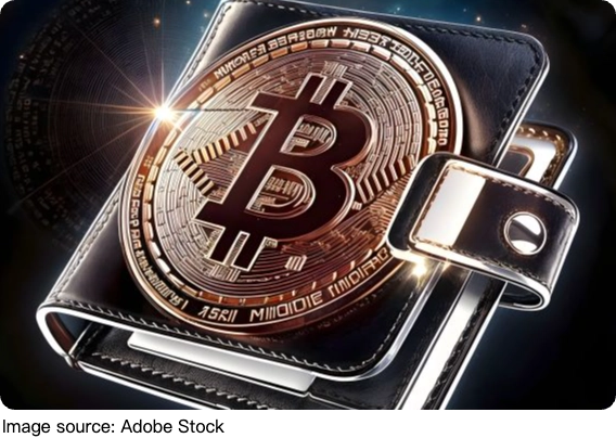 Биткоин без иллюзий