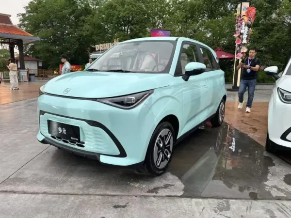 Chery QQ Domi.