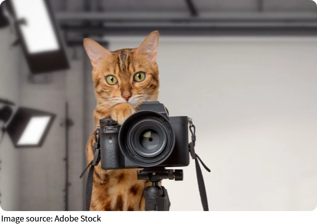 Dunia Fotografi