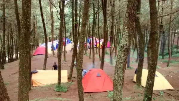 Kemping di Gunung Bunder