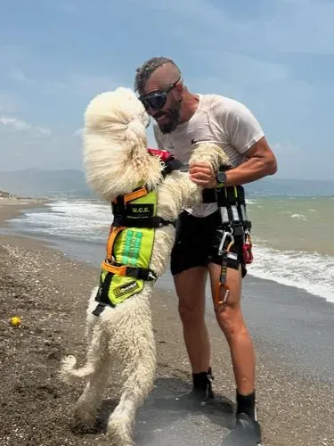 Nilo si anjing penjaga pantai Spanyol