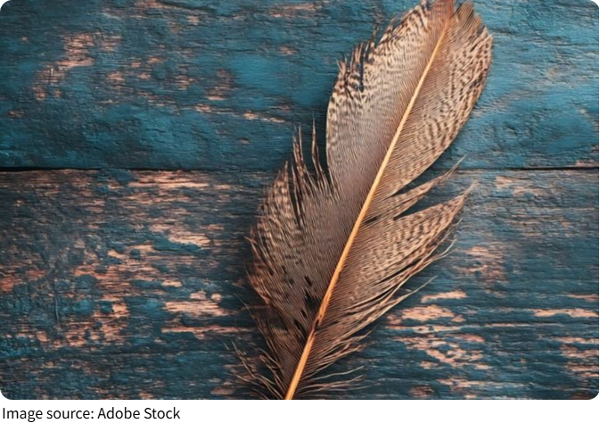 Feathers: Smart Design