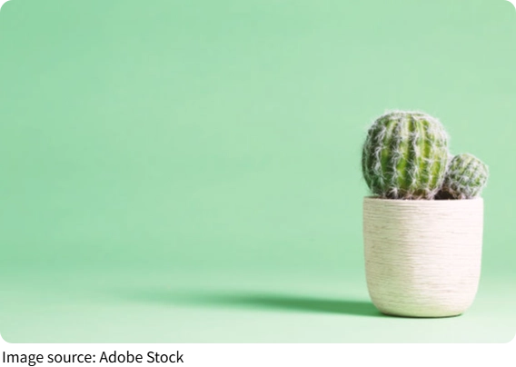 Rahasia Selamatkan Tanaman