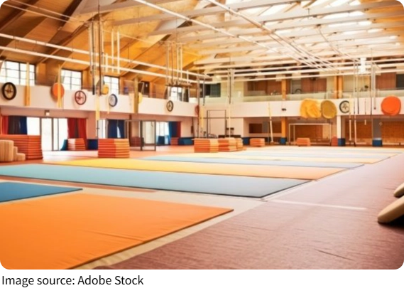 What's That Gymnastic?