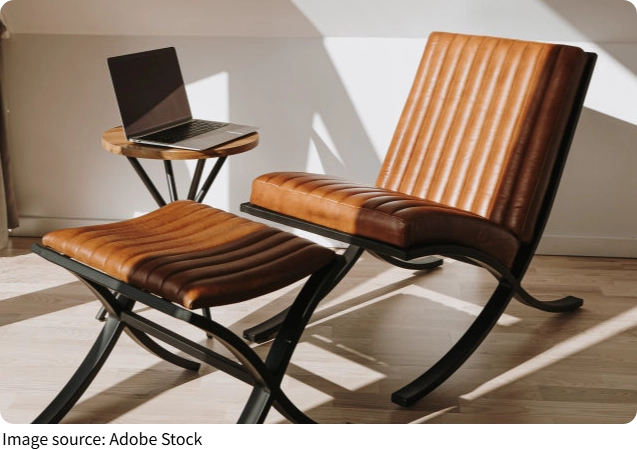 Khoa học của sự êm ái