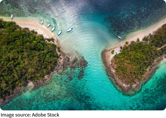 Paraíso Tropical