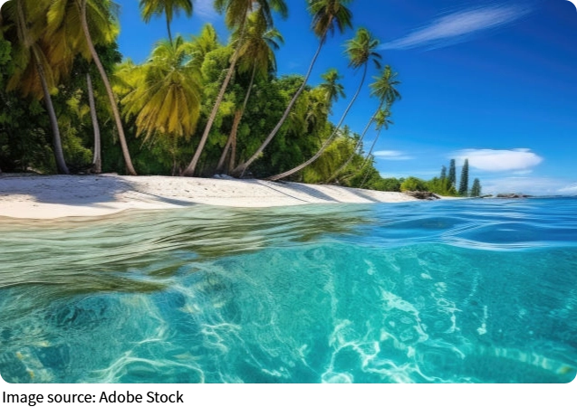 Paraíso Tropical