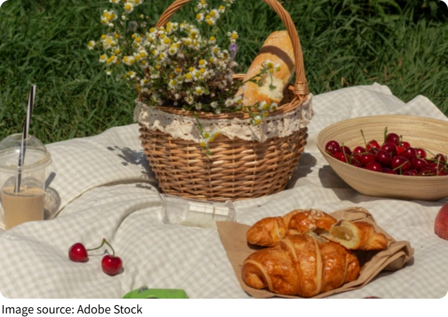 Picnic Ideal