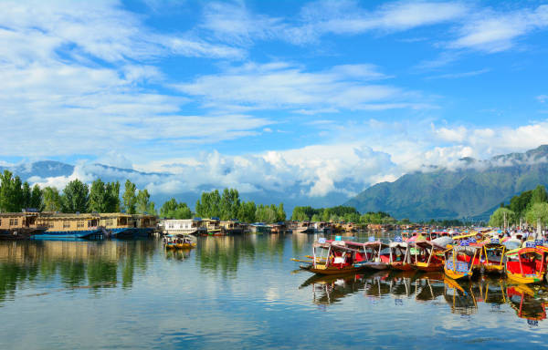 एल