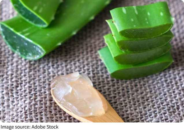 Aloe Skin Truth