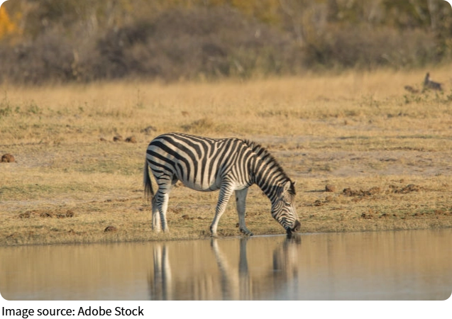 Explorando Kenia