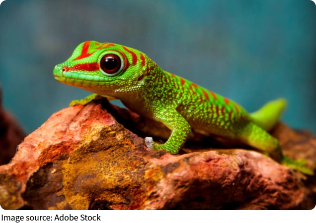 Nature's Amazing Regrowth