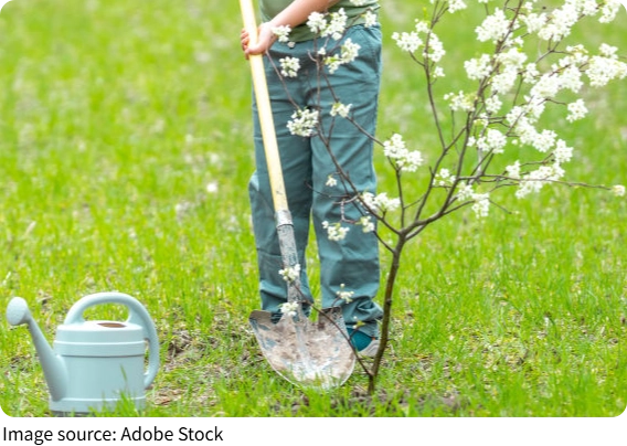 Plant Camouflage