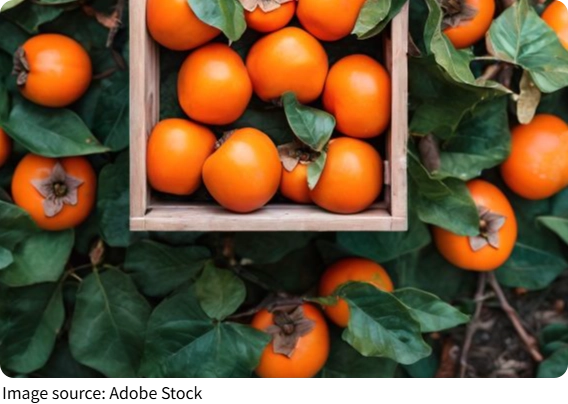 Remedio de Naranja