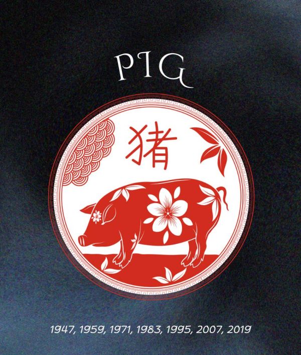 pig chinese zodiac signs luck abundance June 26 2025