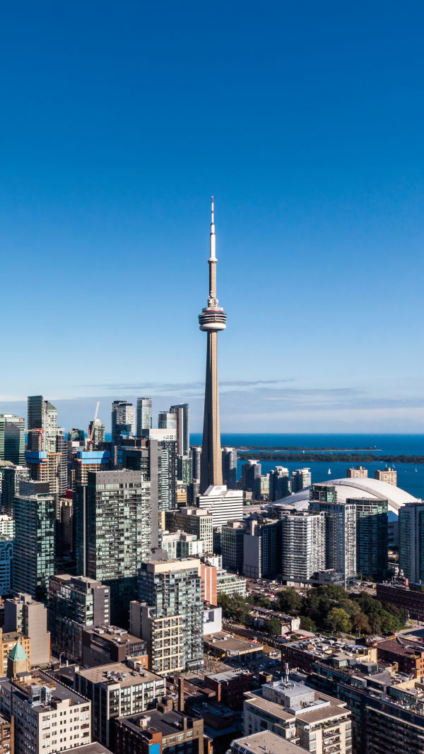 Toronto City Pulse
