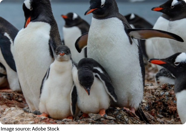 Tierra Del Fuego