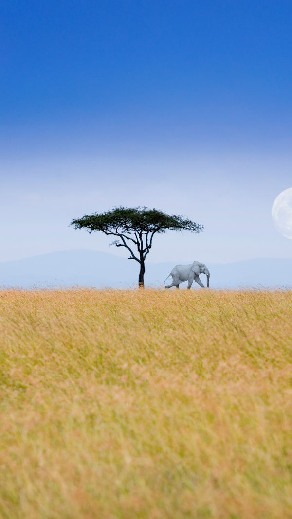 Explore Maasai Mara