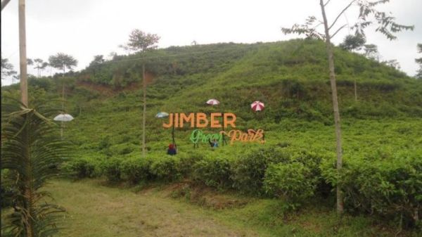 Kebun Teh