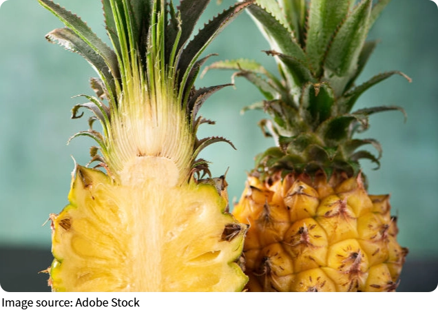 Frutas Hidratantes Verano