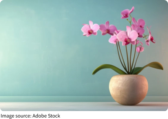 Plantas Florales