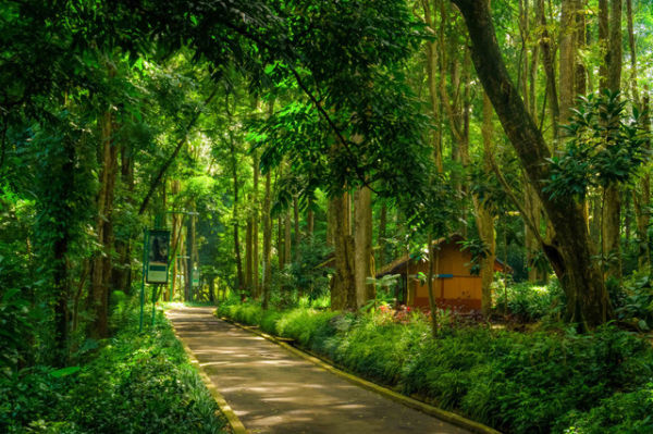 Ilustrasi . Foto: Ismail Rajo/Shutterstock