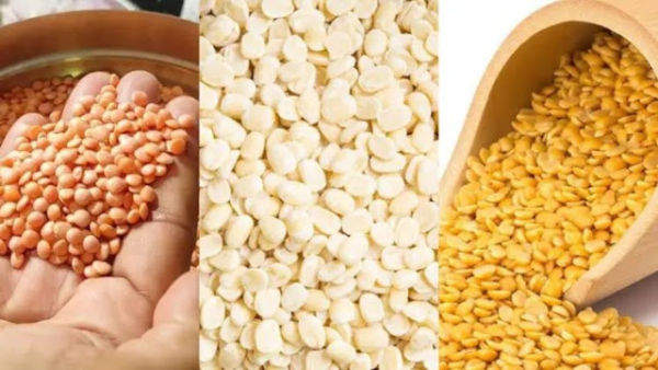 High Protein Pulses: In winter, consume these pulses, cold will not come near! High Protein Pulses: In winter, consume these pulses, cold will not come near!