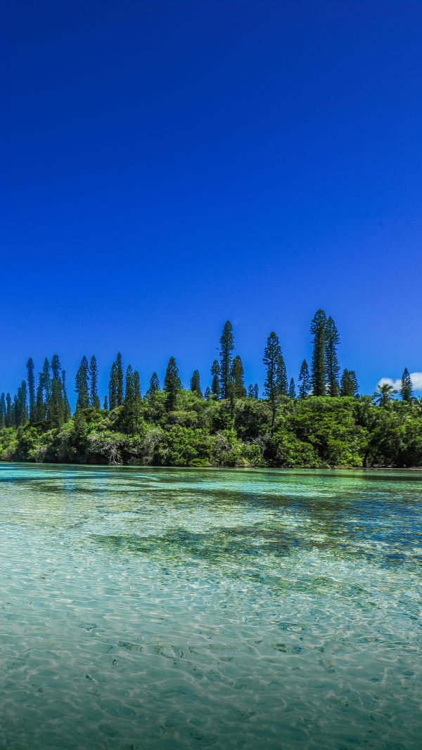 The Island of Pines