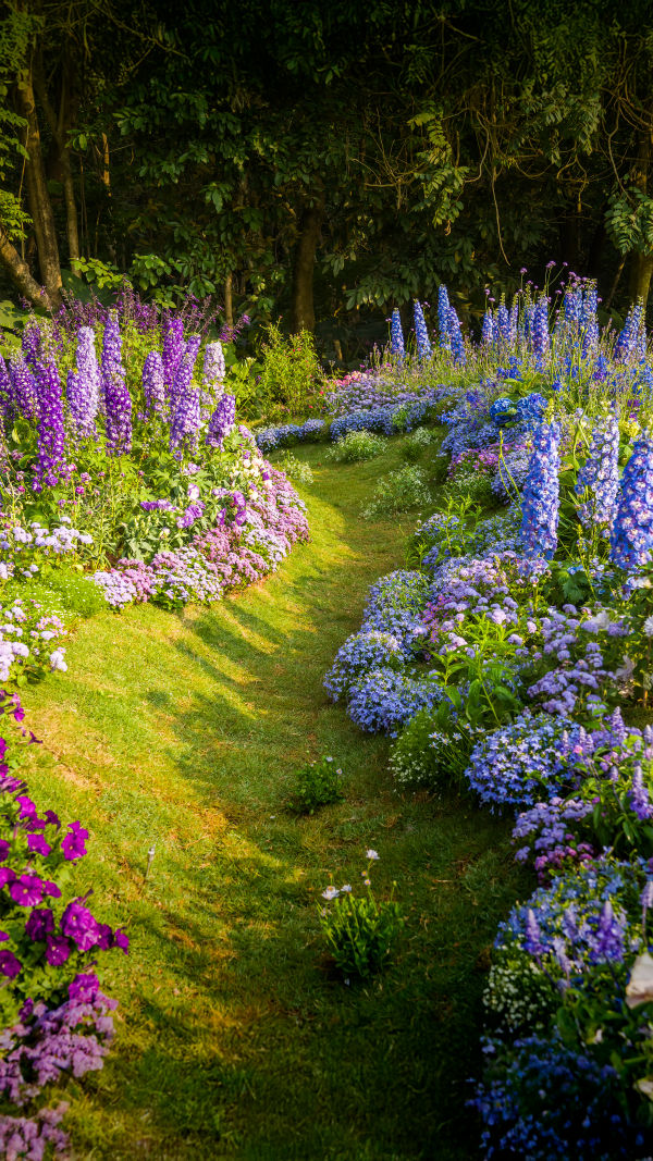Jardin pour débutants