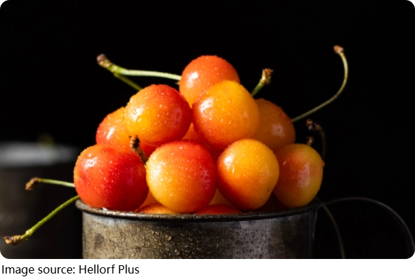 Superfrutas do Brasil