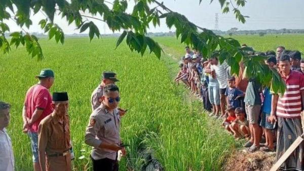PENEMUAN JENAZAH DI DEMAK -  Perempuan tanpa identitas ditemukan tewas di area persawahan Desa Wonoketingal, Kecamatan Karanganyar, Kabupaten Demak, Selasa (25/6/2025). (dok. Istimewa)