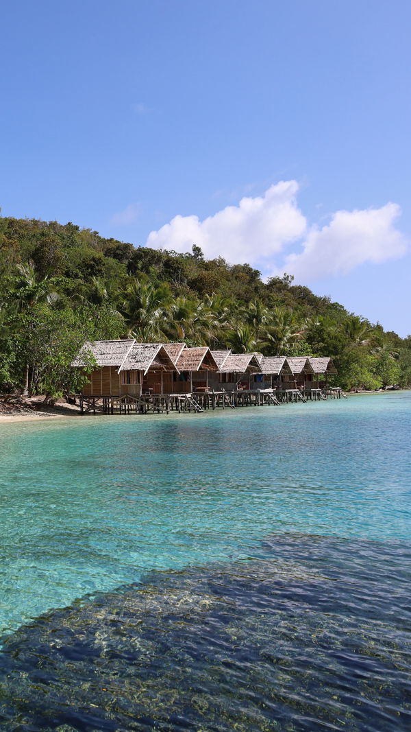 Unlocking Papua
