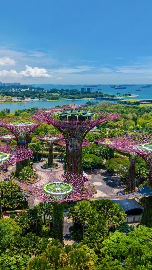 Singapore’s Botanical Wonder