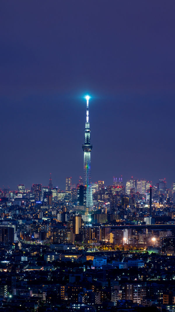 Master Tokyo Transit